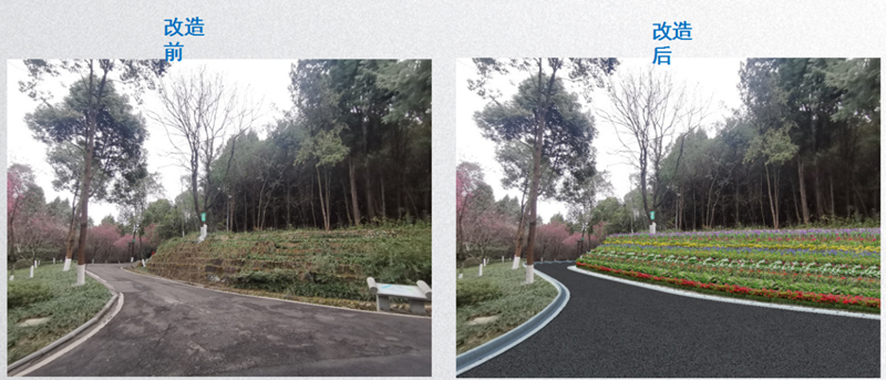 圖片2_副本.jpg 圖片2_副本.jpg